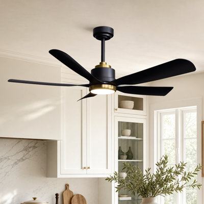 52" 5-Blades Ceiling Fan with Light Black/Gold