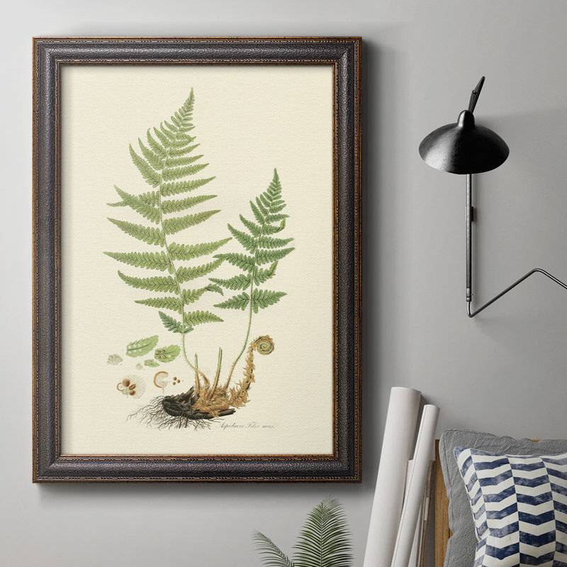 «Curtis Ferns II», reproduction sur toile encadrée, H 27 po x l 18 po x P 2,5 po