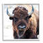 "Stupell Industries American Bison", reproduction d'art sur toile par Lena Owens-91321597-91321601