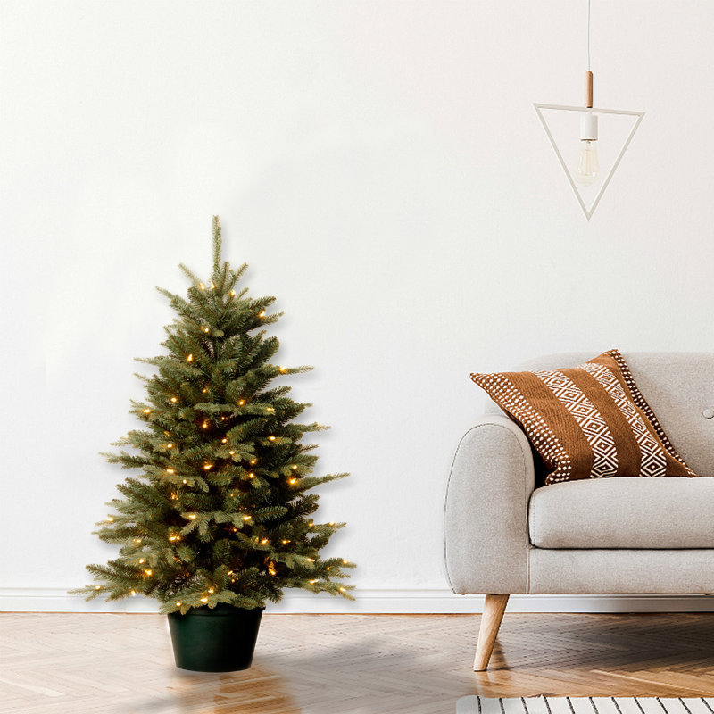 Potted 3' Pre-Lit Pine Christmas Tree