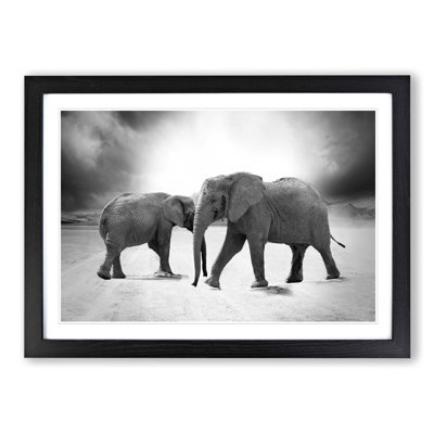 Two Elephants Framed Photographic - Framed Print