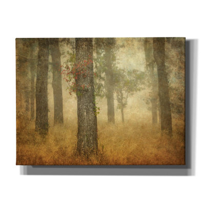 Oak Grove In Fog' by William Guion, Canvas Wall Art