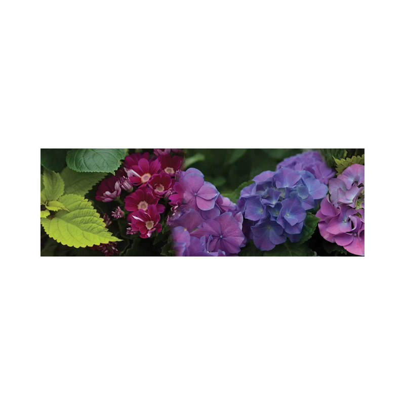Close-Up Of Daisy And Hydrangeas Flowers - Wrapped Canvas Panoramic Print, 30.48 cm H x 91.44 cm W x 1.91 cm D