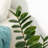 33"  Faux Money Tree in Pot Faux Tree
