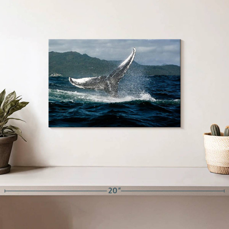Brampt Samana Humpback Whale, 8" H x 12" W