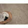 Shaggy Lush Beige Rug