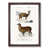 Walnut Framed selected