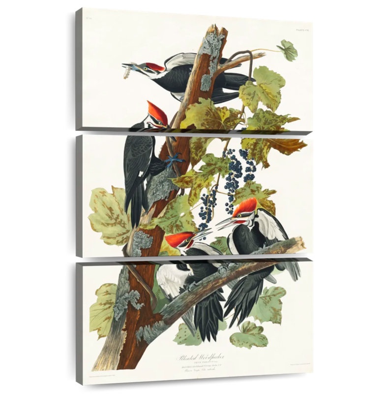 Brampt Pileated Woodpecker, 57" H x 36" W