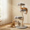 Tour pour chat 48 po H 48,4 po