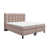 Beige is out of stock selected