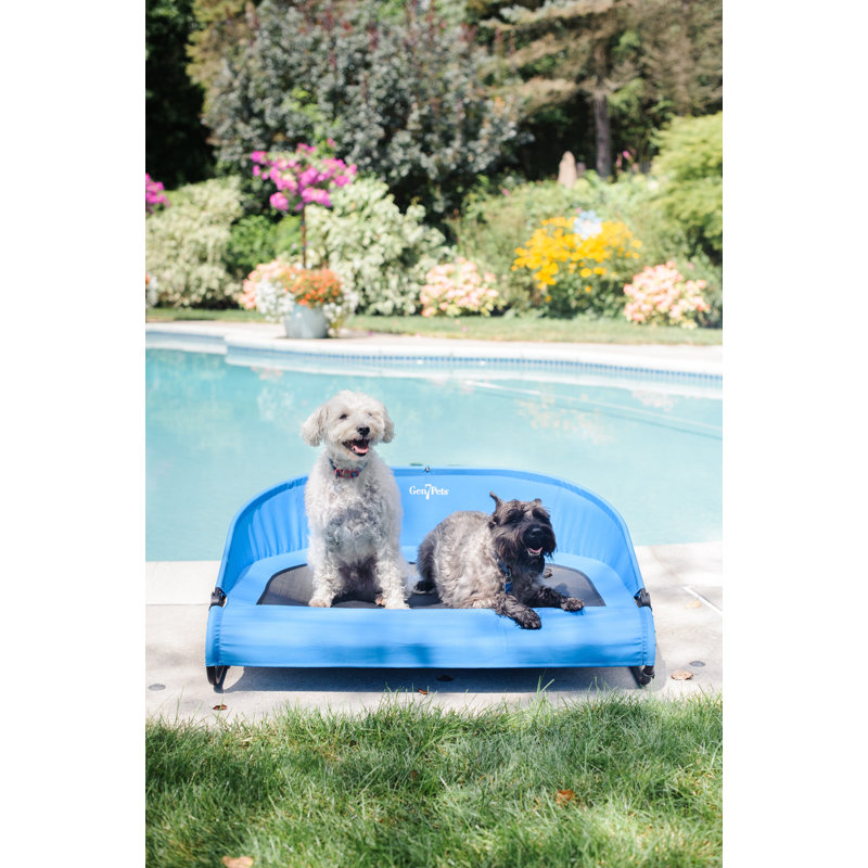 Olympia Nylon Pet Bed, Large (7" H x 38" W x 26" D), Trailblazer Blue