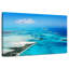 Gillard, Bahamas, îles paradisiaques-111834829