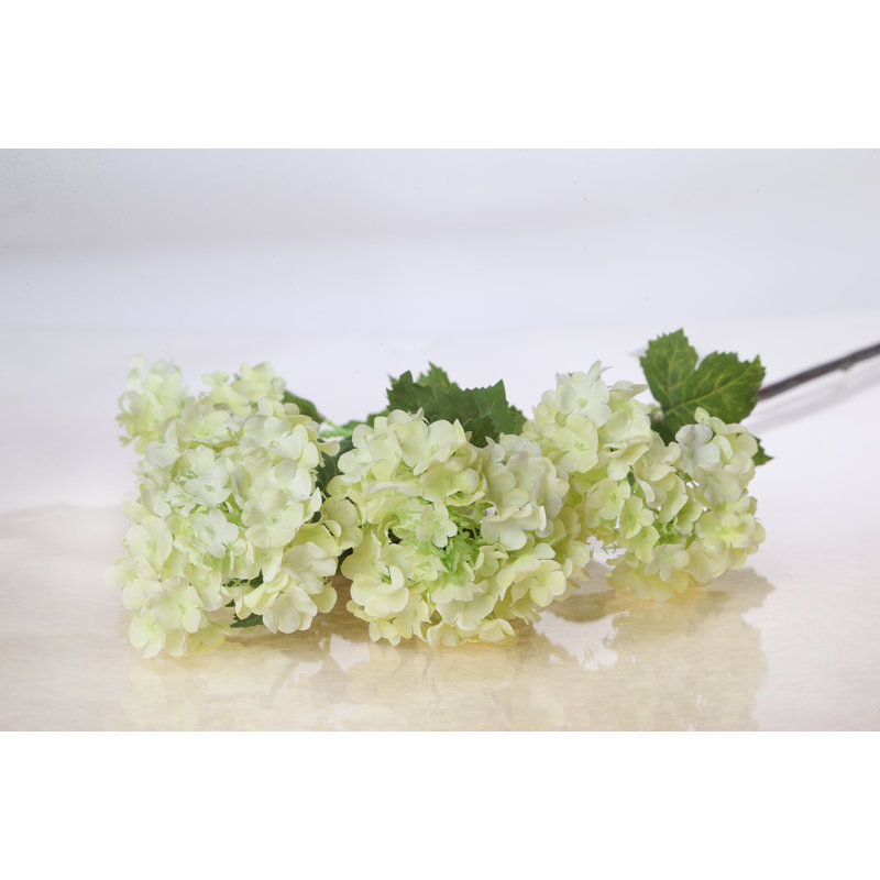 Viburnum Spray, Whitish Green