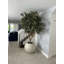 Artificial Olive Tree 30" Globe Planter-445470675