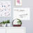 Whiteboard Decals