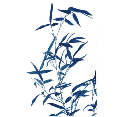 " Indigo Botanica I " by Naomi McCavitt Painting Print