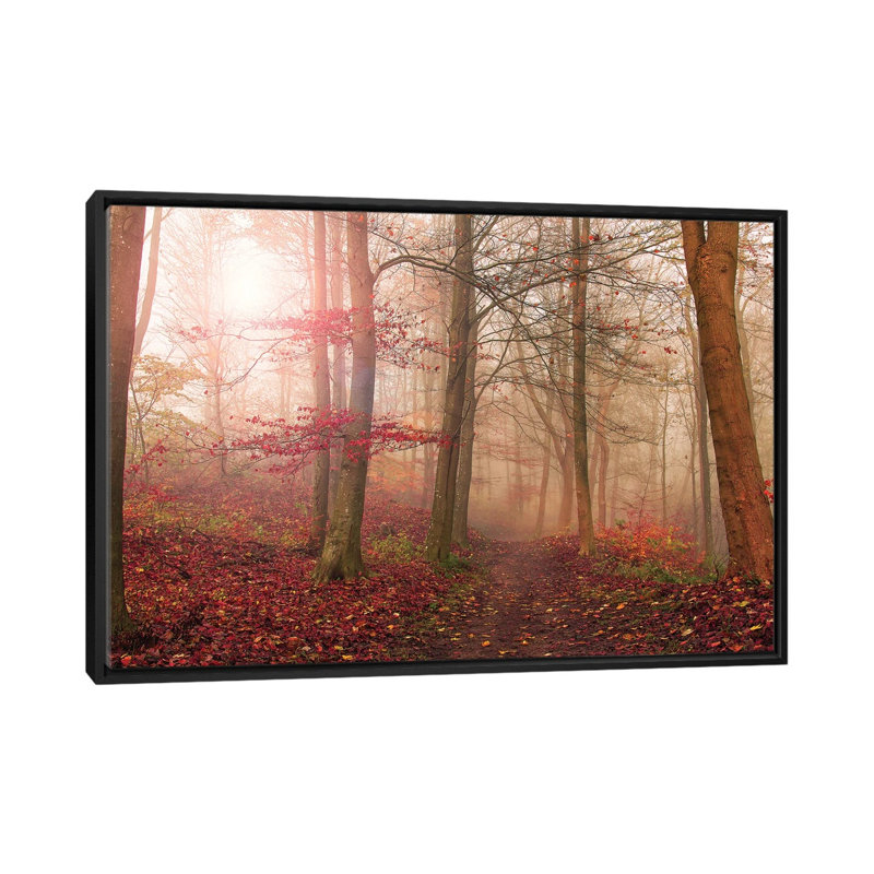 Forest Scene by Leif Londal - Floater Frame Print on Canvas