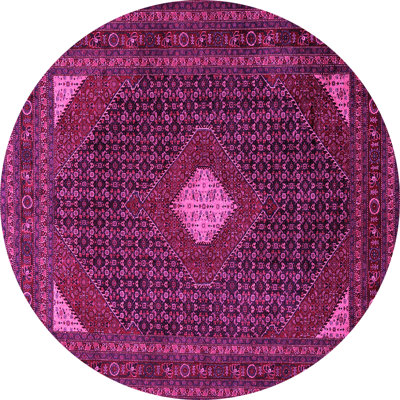 Oriental Indoor Rug