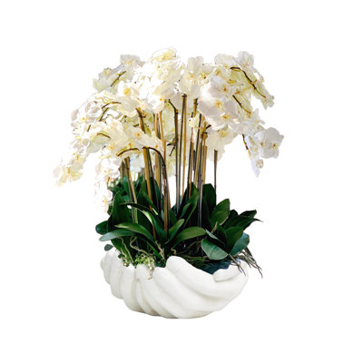 Orchid Floral Arrangement in Vase
