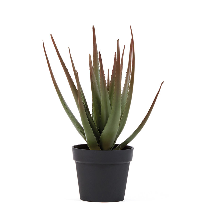 30 cm H Faux Cactus Plant in Plastic Pot