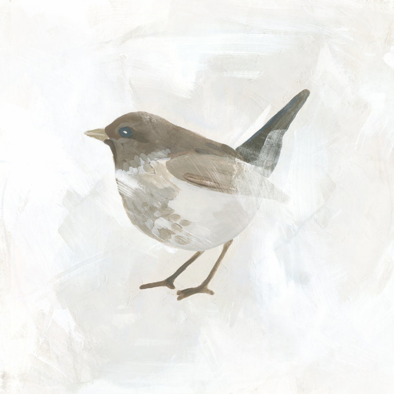 Feathered Fresco I - Wrapped Canvas Painting, 76.2cm H x 76.2cm W