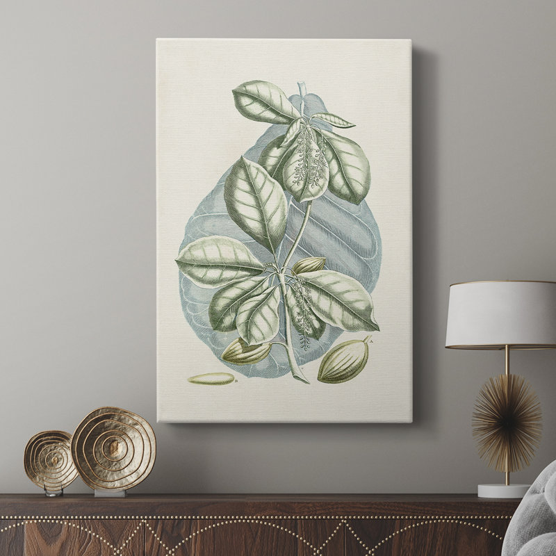 Buchoz Tropicals VI - Gallery Cavas, H 27 po x l 18 po