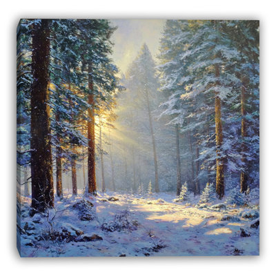 Morning Light in Winter Woods Wrapped Canvas Wall Art