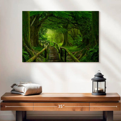 Alvord Mossy Tropical Jungle Trail