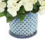 Begonias in Dotted Ceramic Pot-42062681