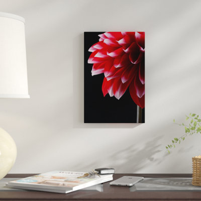 «Red and White Dahlia», reproduction de photo sur toile