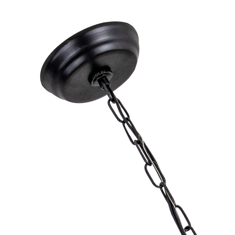 Lustre à 4 lumières à intensité variable l 17 po avec accents en cristal rappaport, Noir