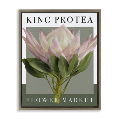 Cadre flottant pour le marché aux fleurs du roi Protea, design par Jennifer Stith