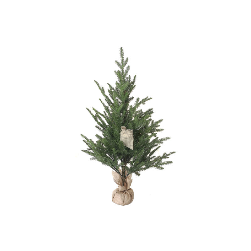 Ihcasadecor 40 plantes