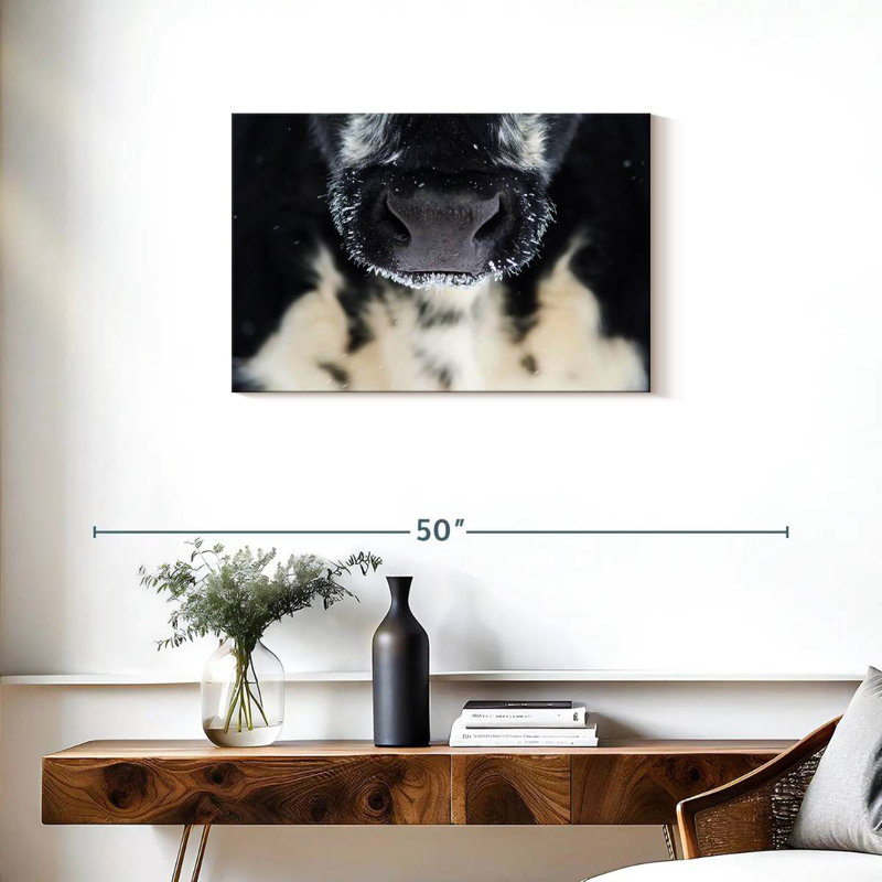 Brampt Cow Nose, 20'' H x 30'' W