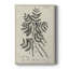 Antique Botanical I, impression sur toile tendue-1434808489