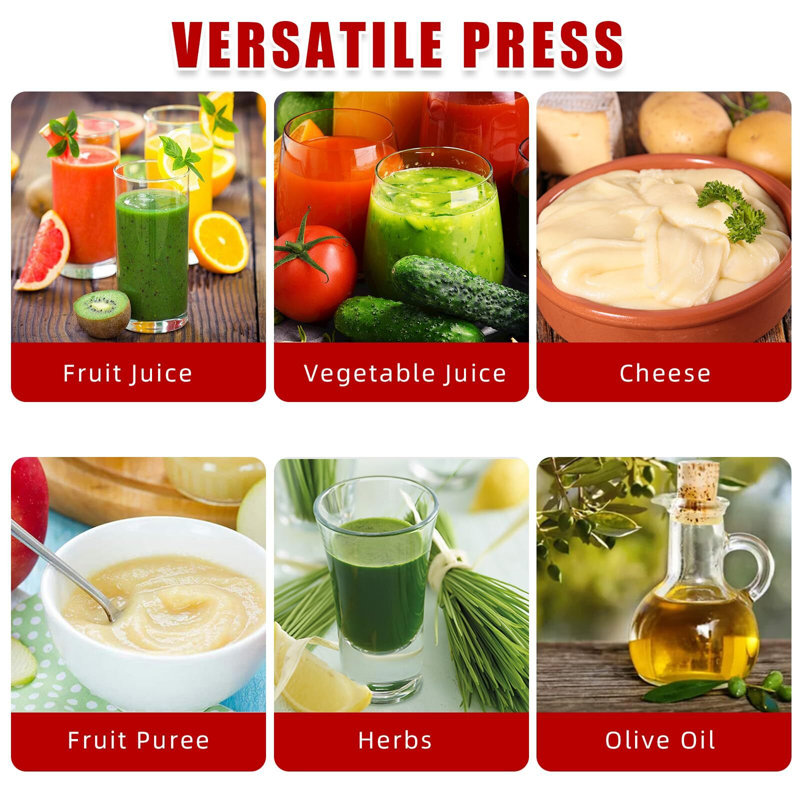 Extracteur de jus manuel Homasticgo
