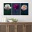 Fleurs vibrantes et élégantes sur fond sombre, photographie de salon minimaliste moderne-102480456-102480459