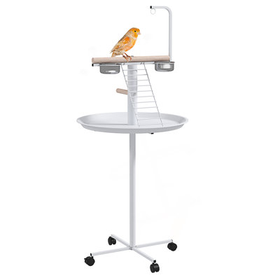 Support pour oiseaux, support pour perroquet avec roues, perchoirs, bols en acier inoxydable, plateau rond, support pour oiseaux pour l'intérieur et l'extérieur, blanc
