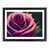 Black Framed selected