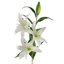 Plastic, Silk Artificial Arrangement-89222282