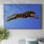 The Wild Leopard II-Gallery Wrapped Canvas-777830855