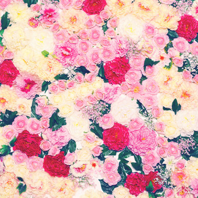 " Background Of Many Flowers. " by Guasor