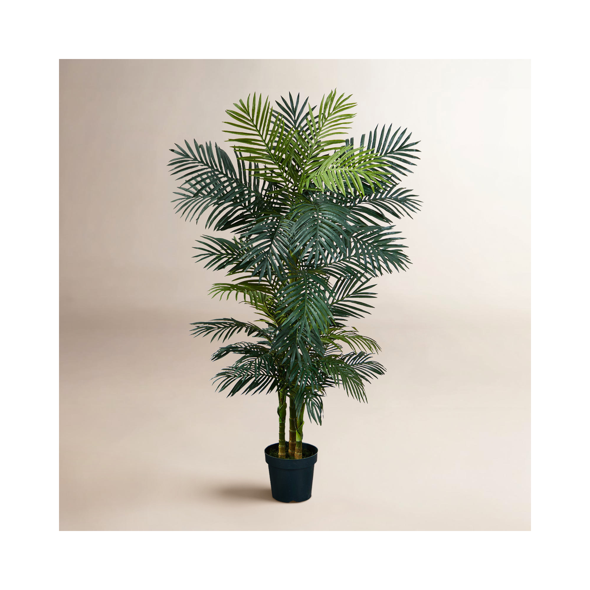 78'' Faux Palm Tree in Pot