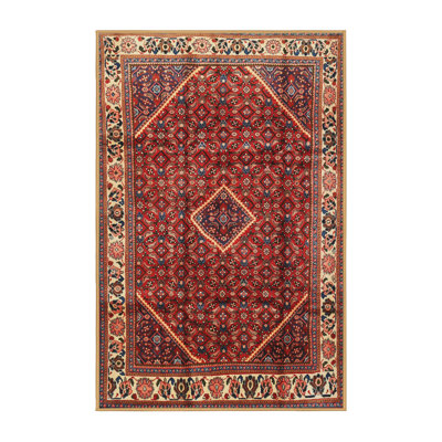 Oriental Indoor Rug