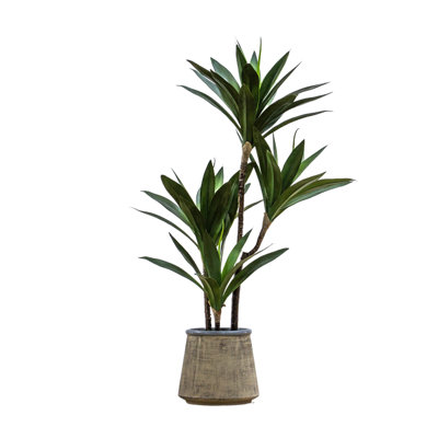 65cm Faux Yucca Tree in Ceramic Pot