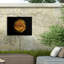 Fleurs de jardin bolognaise 74-98044282