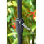 118'' W Umbrella