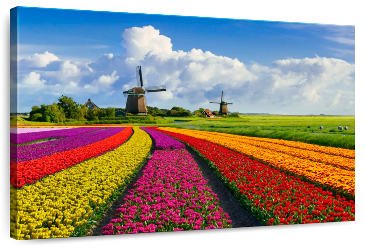 Millwood Pines Alvord Dutch Spring Scene | Wayfair