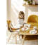 Eveil Gourmand Porcelain Dinnerware Set
