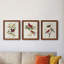 Pl 354 Louisiana Tanager - Ensemble de 3 peintures sur toile encadrées-384900184-384900185